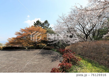 馬見丘陵公園の春景色 馬見丘陵公園の春景色 76126916
