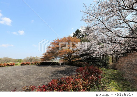 馬見丘陵公園の春景色 馬見丘陵公園の春景色 76126917
