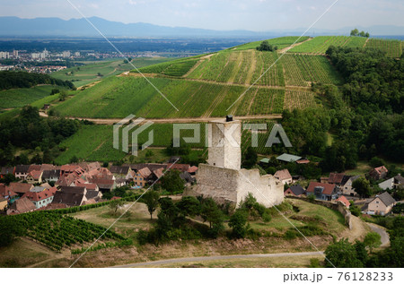 Chateau de Wineck, castle in the vineyard of Katzenthal, Alsace (france) 76128233