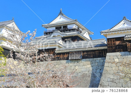 【愛媛県桜が満開の松山城天守閣 76128868