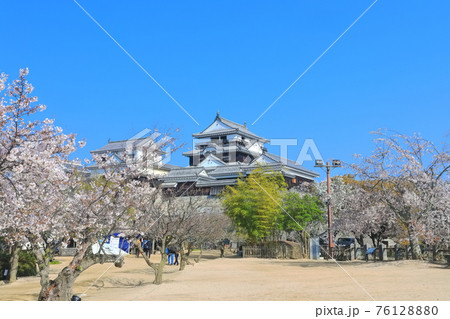 【愛媛県桜が満開の松山城天守閣 76128880