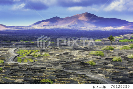 The Wine Valley of La Geria - Lanzarote, Spain The Wine Valley of La Geria - Lanzarote, Spain 76129239