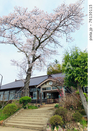 春の旧上岡小学校 茨城県大子町 春の旧上岡小学校 茨城県大子町 76130115