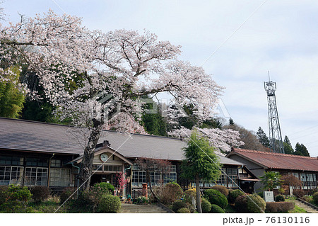 春の旧上岡小学校 茨城県大子町 春の旧上岡小学校 茨城県大子町 76130116