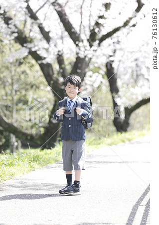 春の桜満開公園で胸踊る新一年生の男の子 76130612