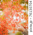 紅葉に触れる女性の手 76130704