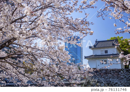 大分府内城址と桜 76131746