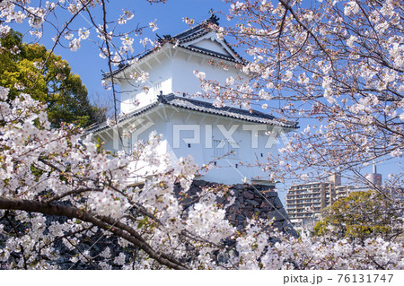 大分府内城址と桜 76131747