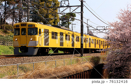 石神井川沿いにある春の桜並木を通過する田無行電車(2) 石神井川沿いにある春の桜並木を通過する田無行電車(2) 76132416