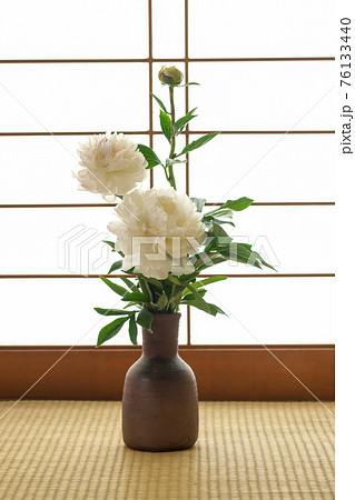蕾　つぼみ　葉　花びら　クラフトパンチ 蕾つぼみ葉花びらクラフトパンチ