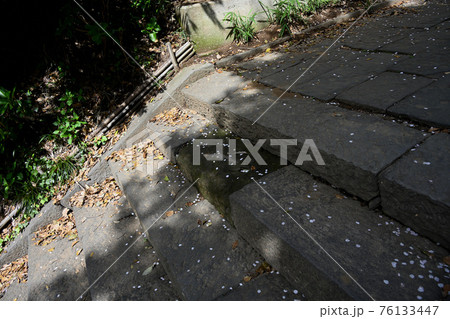 弘法寺の涙石 76133447