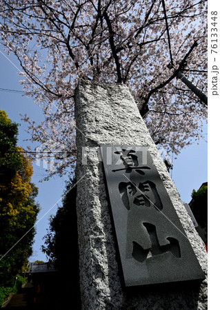 弘法寺の門柱と桜 76133448