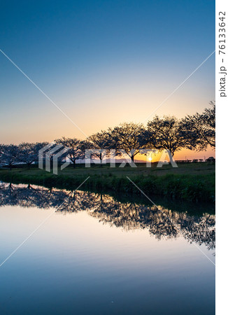 晴天から夕焼けの春うららの田舎の桜が川面に映る風景 晴天から夕焼けの春うららの田舎の桜が川面に映る風景 76133642