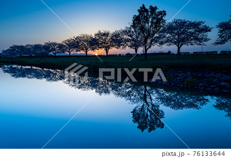 晴天から夕焼けの春うららの田舎の桜が川面に映る風景 76133644