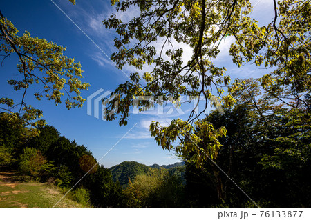 足もと軽く息さわやかに、水ぬるみ新芽の緑 足もと軽く息さわやかに、水ぬるみ新芽の緑 76133877