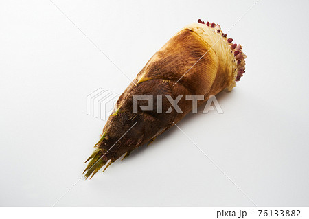 筍を白バックで 76133882