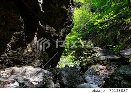 足もと軽く息さわやかに、水ぬるみ新芽の緑 足もと軽く息さわやかに、水ぬるみ新芽の緑 76133887