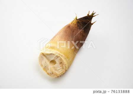 筍を白バックで 76133888