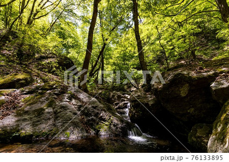足もと軽く息さわやかに、水ぬるみ新芽の緑 足もと軽く息さわやかに、水ぬるみ新芽の緑 76133895