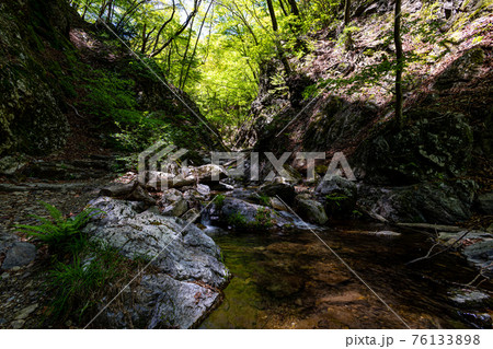 足もと軽く息さわやかに、水ぬるみ新芽の緑 足もと軽く息さわやかに、水ぬるみ新芽の緑 76133898