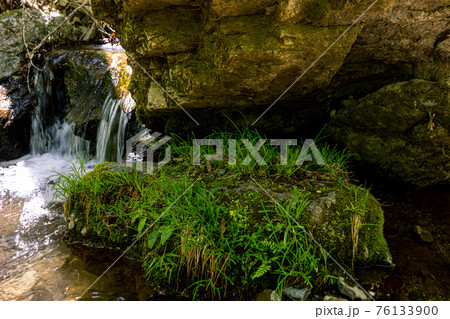 足もと軽く息さわやかに、水ぬるみ新芽の緑 足もと軽く息さわやかに、水ぬるみ新芽の緑 76133900