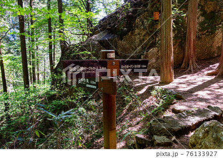 足もと軽く息さわやかに、水ぬるみ新芽の緑 76133927