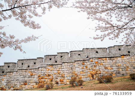 Hwaseong Fortress at spring in Suwon, korea 76133959
