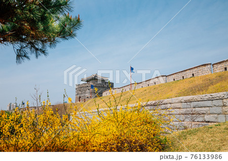 Hwaseong Fortress at spring in Suwon, korea 76133986