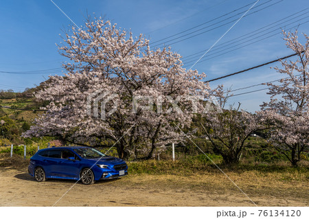 青空を背景に満開の桜と青い自動車 76134120