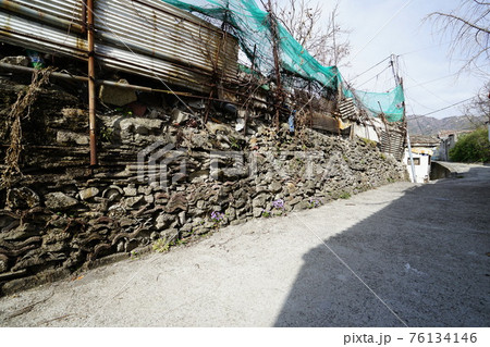 春 桜 万 76134146