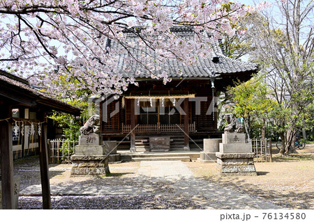 真間稲荷神社 真間稲荷神社 76134580