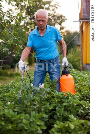 Farmer sprays harvest of vegetables with insecticides 76135597