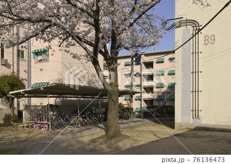 千里ニュータウン桃山台（大阪府吹田市）の府営千里桃山台住宅 76136473