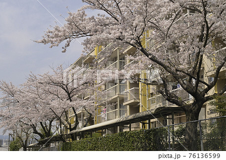 千里ニュータウン津雲台（大阪府吹田市）の府公社千里丘陵C団地 76136599