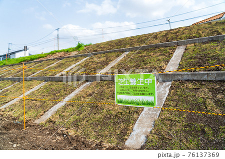 完成した護岸工事 芝張り 完成した護岸工事 芝張り 76137369