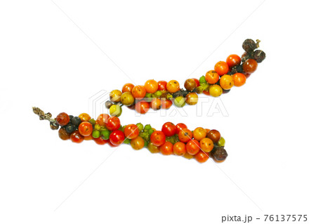 colorful and multicolor of raw fresh and dry pepper isolated 76137575