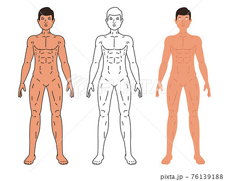 Vector Body Isolate And Body Mesh. Illustration Vector. Royalty