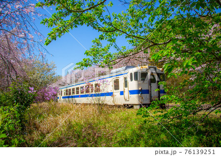 鹿児島県霧島市の嘉例川駅から発車する電車　満開の桜と列車 76139251