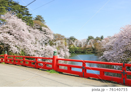 高岡古城公園の桜 76140755