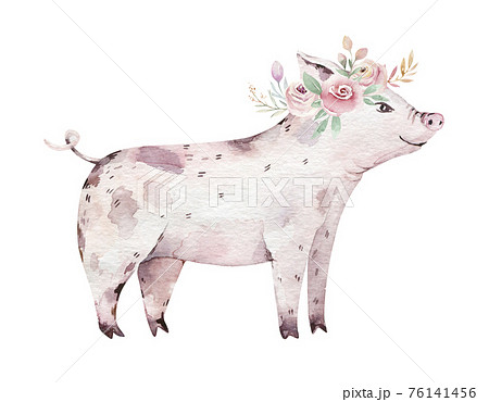 Farms animal isolated set. Cute domestic farm pets watercolor illustration. Pig baby cartoon drawing. 76141456