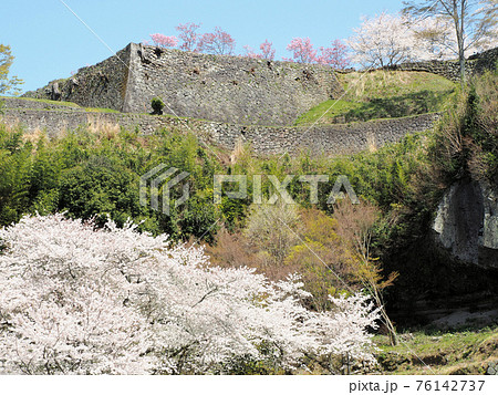 岡城址の桜　大分県竹田市竹田 76142737