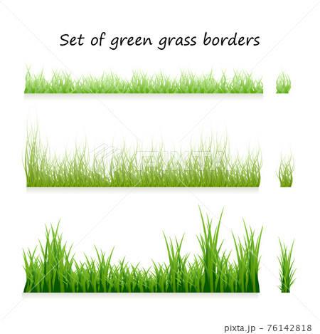 Grass borders hotsell