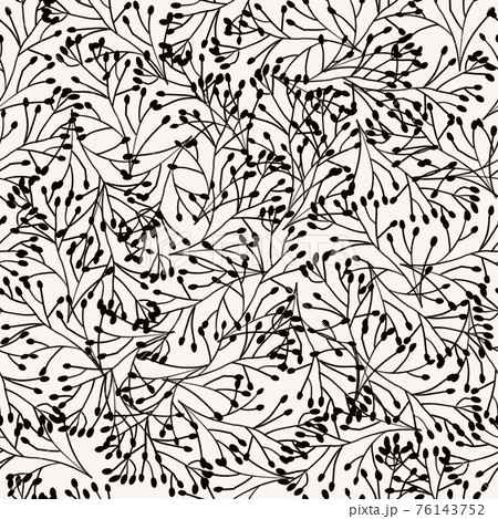 Black and White seamless pattern nature plants ornament, leaves grass branches. Repeating background Black and White seamless pattern nature plants ornament, leaves grass branches. Repeating background 76143752