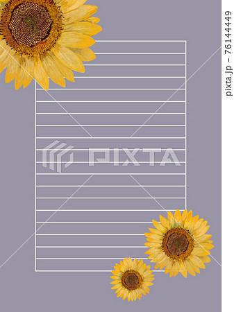 ひまわり便箋紫縦 76144449