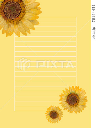 ひまわり便箋黄色縦 ひまわり便箋黄色縦 76144451
