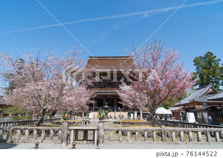 金峯山寺蔵王堂と四本桜（吉野山） 76144522