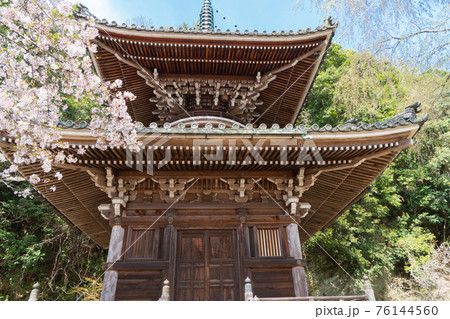 如意輪寺の多宝塔(吉野山) 如意輪寺の多宝塔(吉野山) 76144560