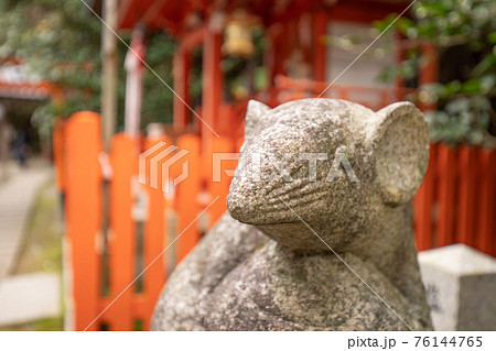 大豊神社のこまねずみ 大豊神社のこまねずみ 76144765