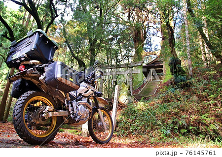 杉が鳥居となる神社にて 01 杉が鳥居となる神社にて 01 76145761