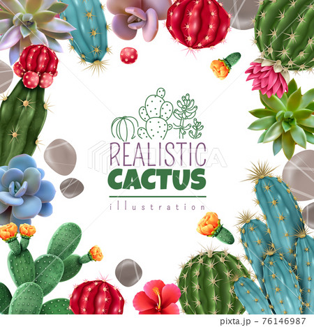 Cactus Succulents Realistic Frame Cactus Succulents Realistic Frame 76146987